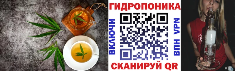 KRAKEN зеркало  Киреевск  Еда ТГК марихуана 