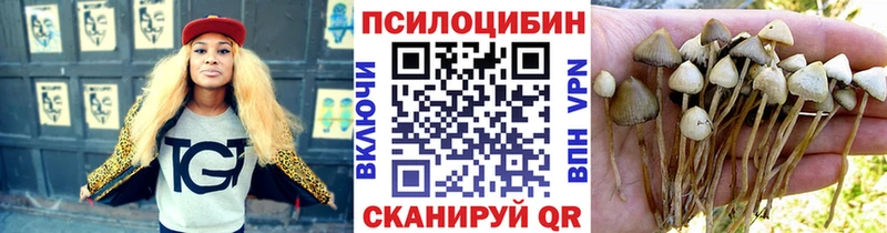 Псилоцибиновые грибы MAGIC MUSHROOMS как найти наркотики Киреевск